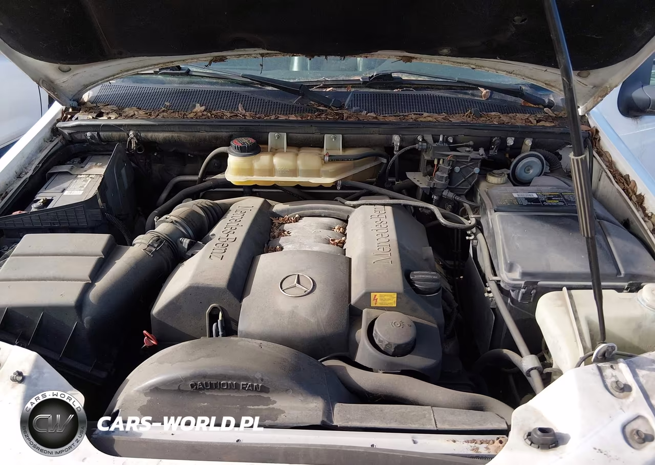 1999 Mercedes-Benz Ml 320 VIN:4JGAB54E4XA055875 - 10