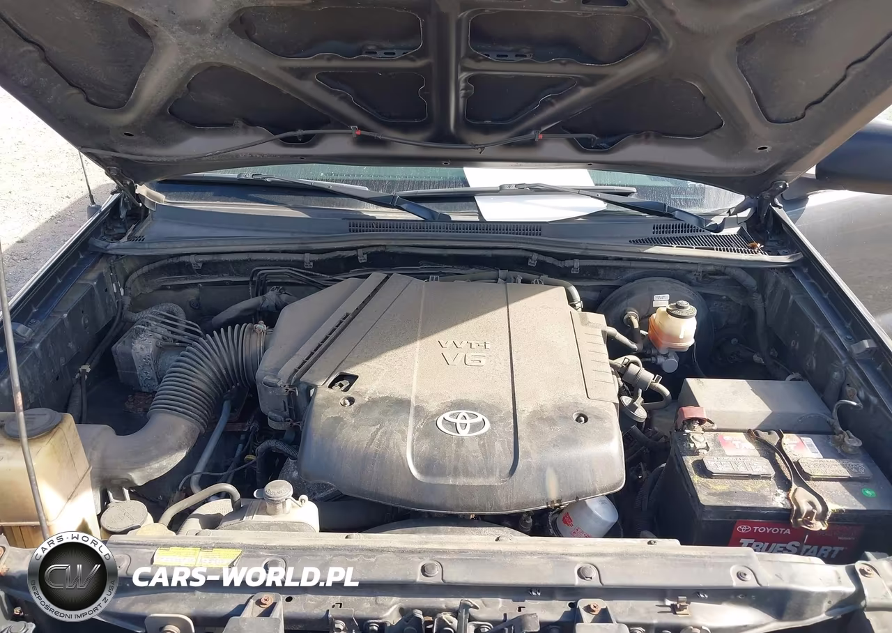 2009 Toyota Tacoma Base V6 VIN:3TMLU42N89M021786 - 10