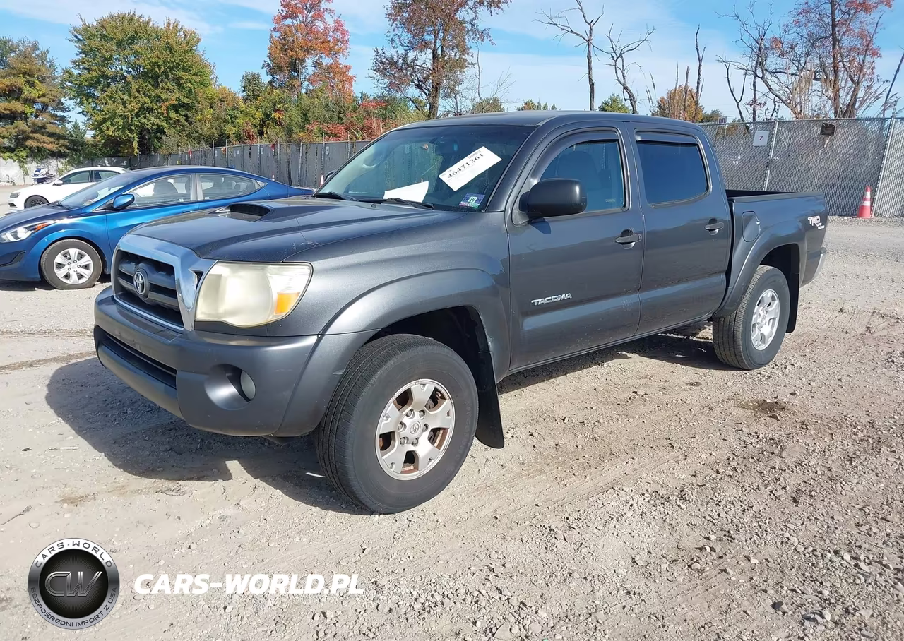 2009 Toyota Tacoma Base V6 VIN:3TMLU42N89M021786 - 2