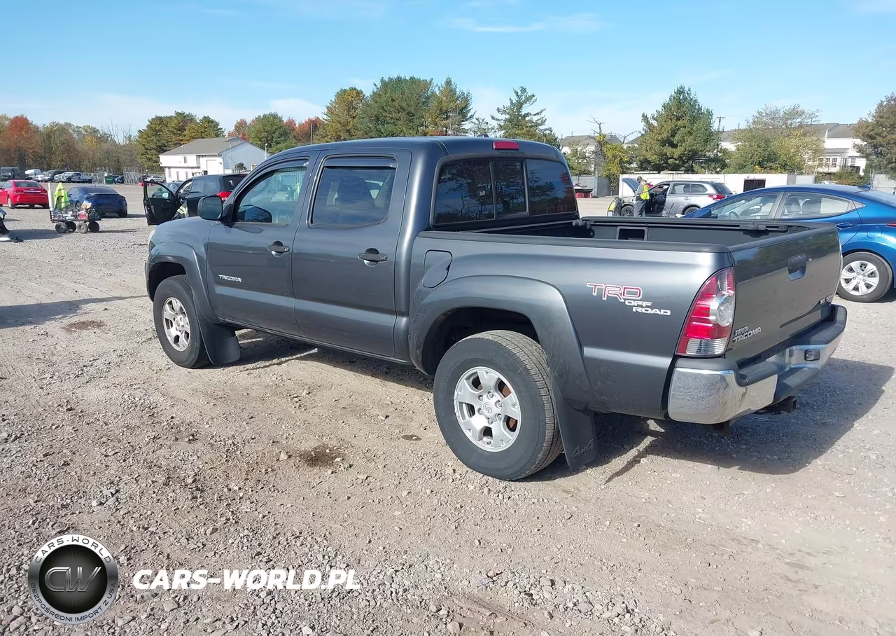 2009 Toyota Tacoma Base V6 VIN:3TMLU42N89M021786 - 3
