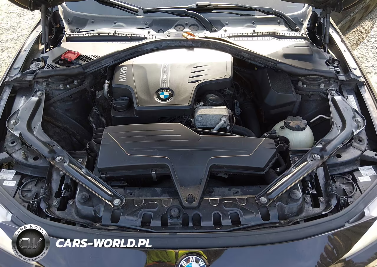 2015 BMW 428I xDrive VIN:WBA3T1C51FP820523 - 10
