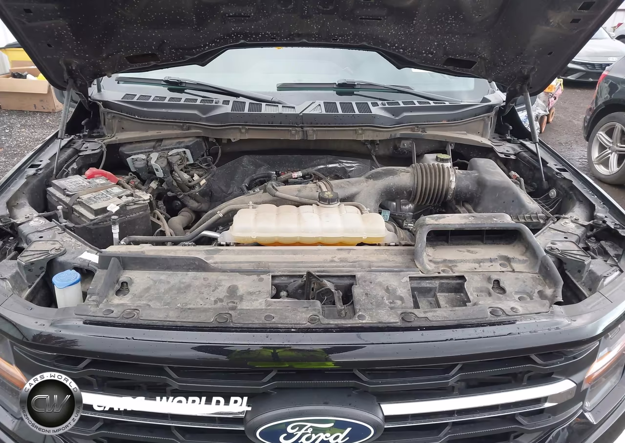 2025 Ford F-150 Xlt VIN:1FTEW3LP7SKE07092 - 10