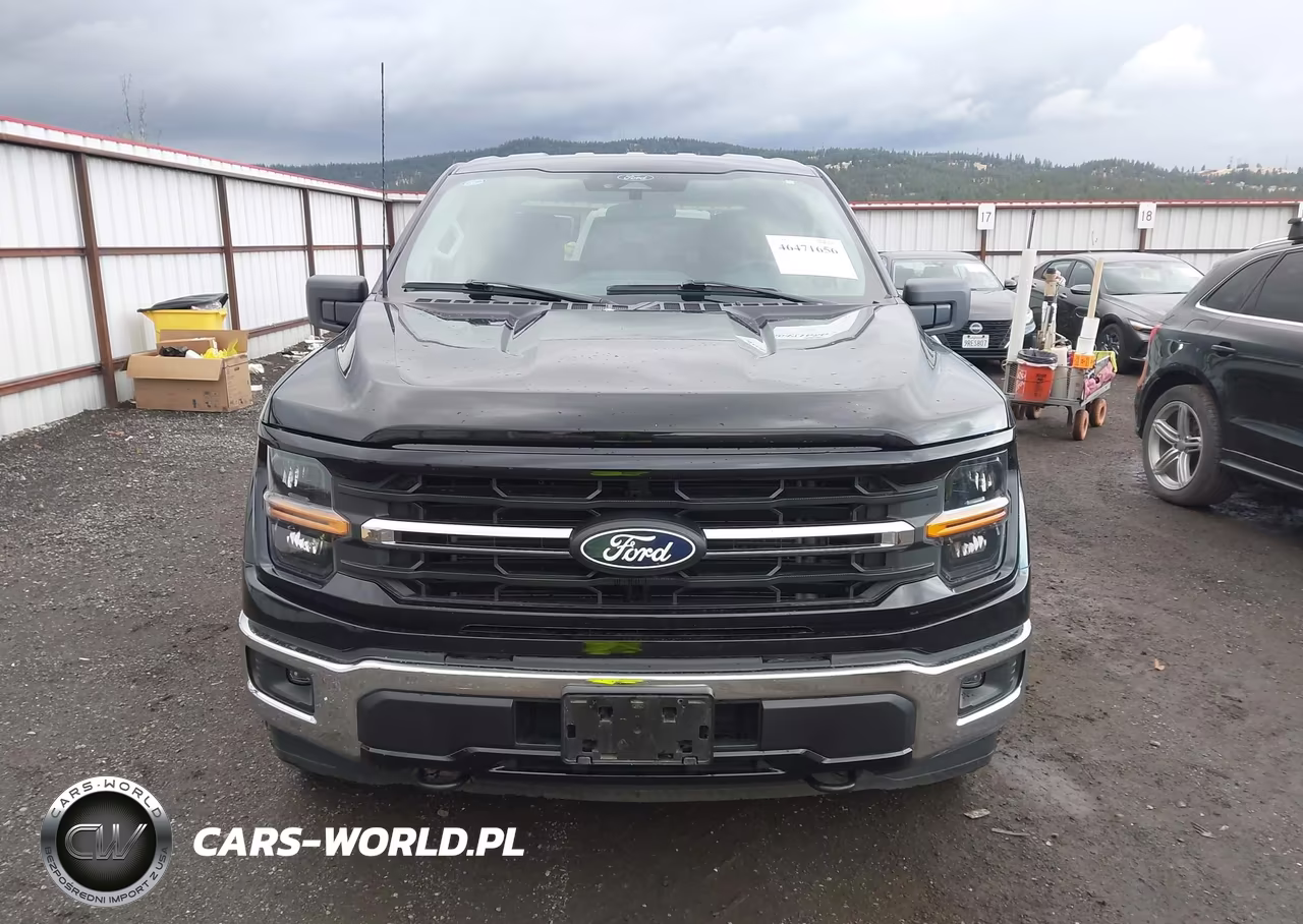 2025 Ford F-150 Xlt VIN:1FTEW3LP7SKE07092 - 12