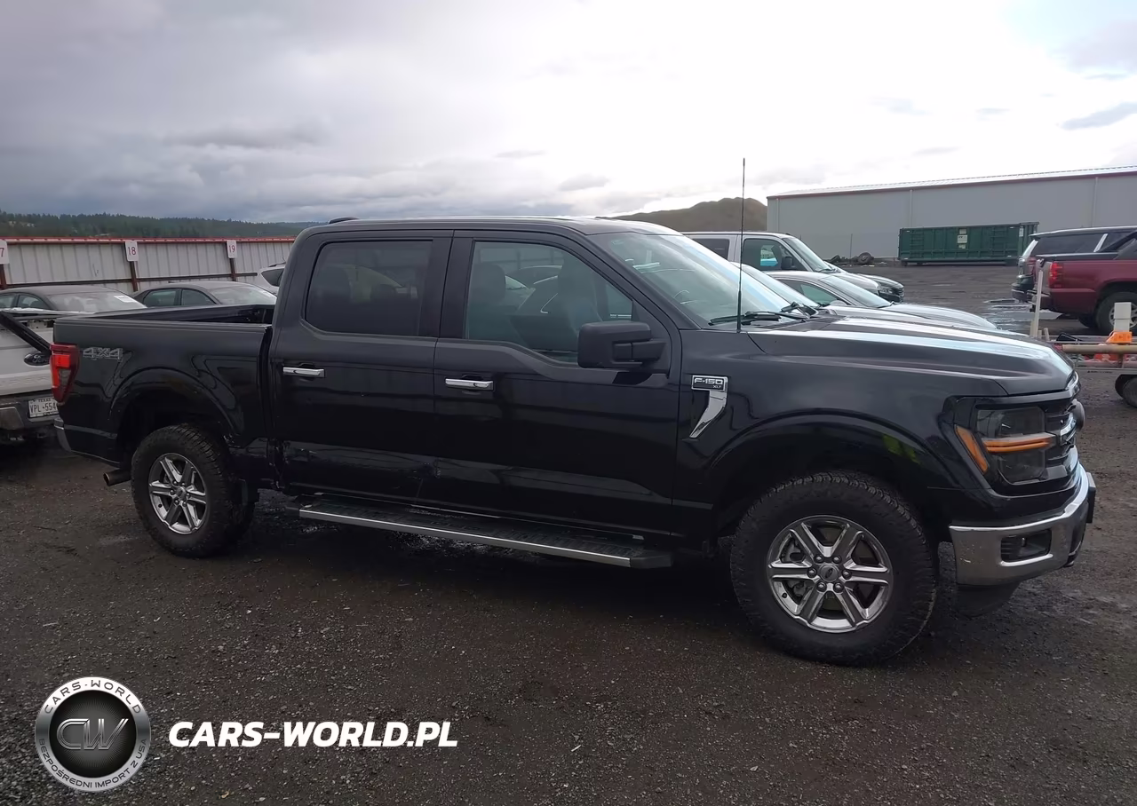 2025 Ford F-150 Xlt VIN:1FTEW3LP7SKE07092 - 13