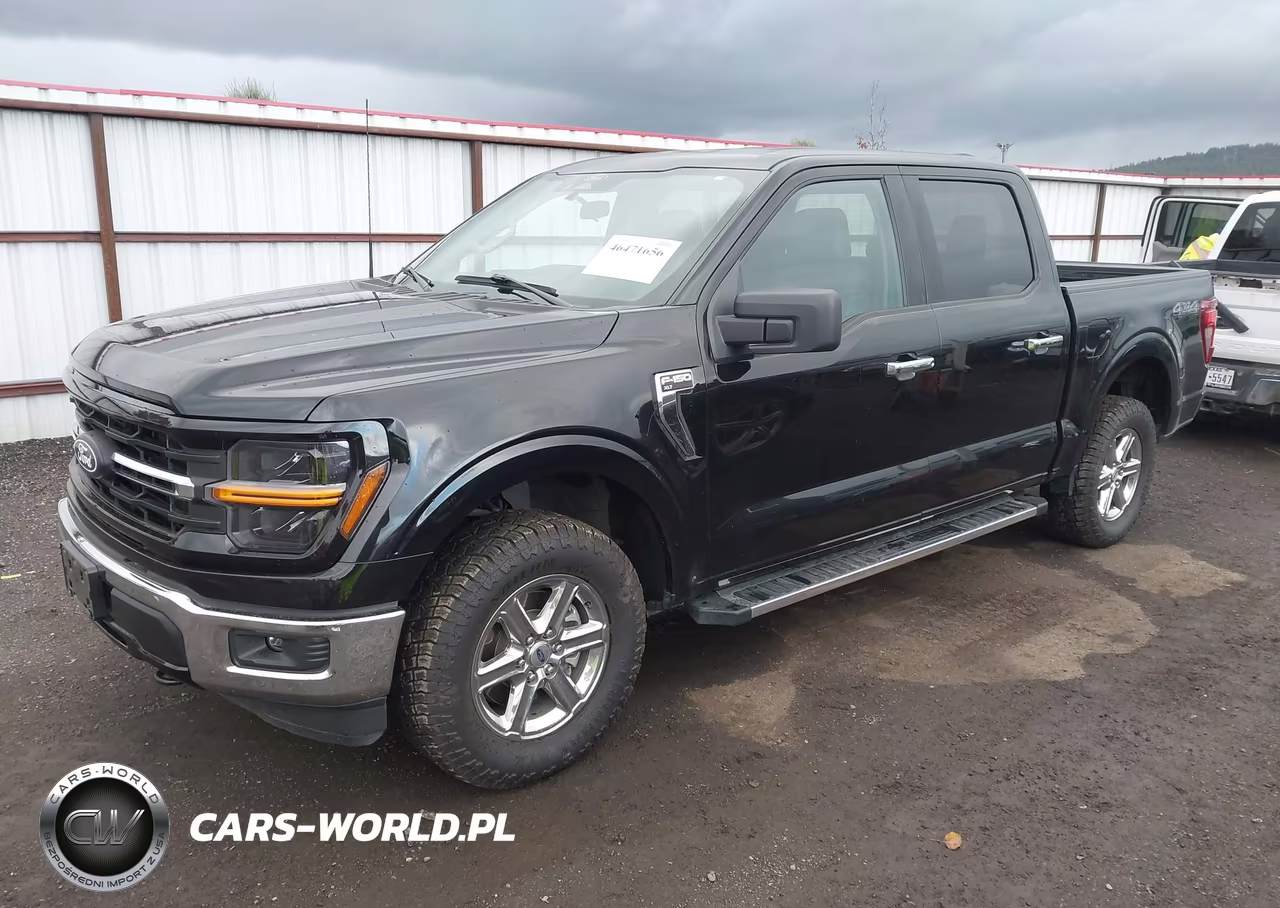 2025 Ford F-150 Xlt VIN:1FTEW3LP7SKE07092 - 2