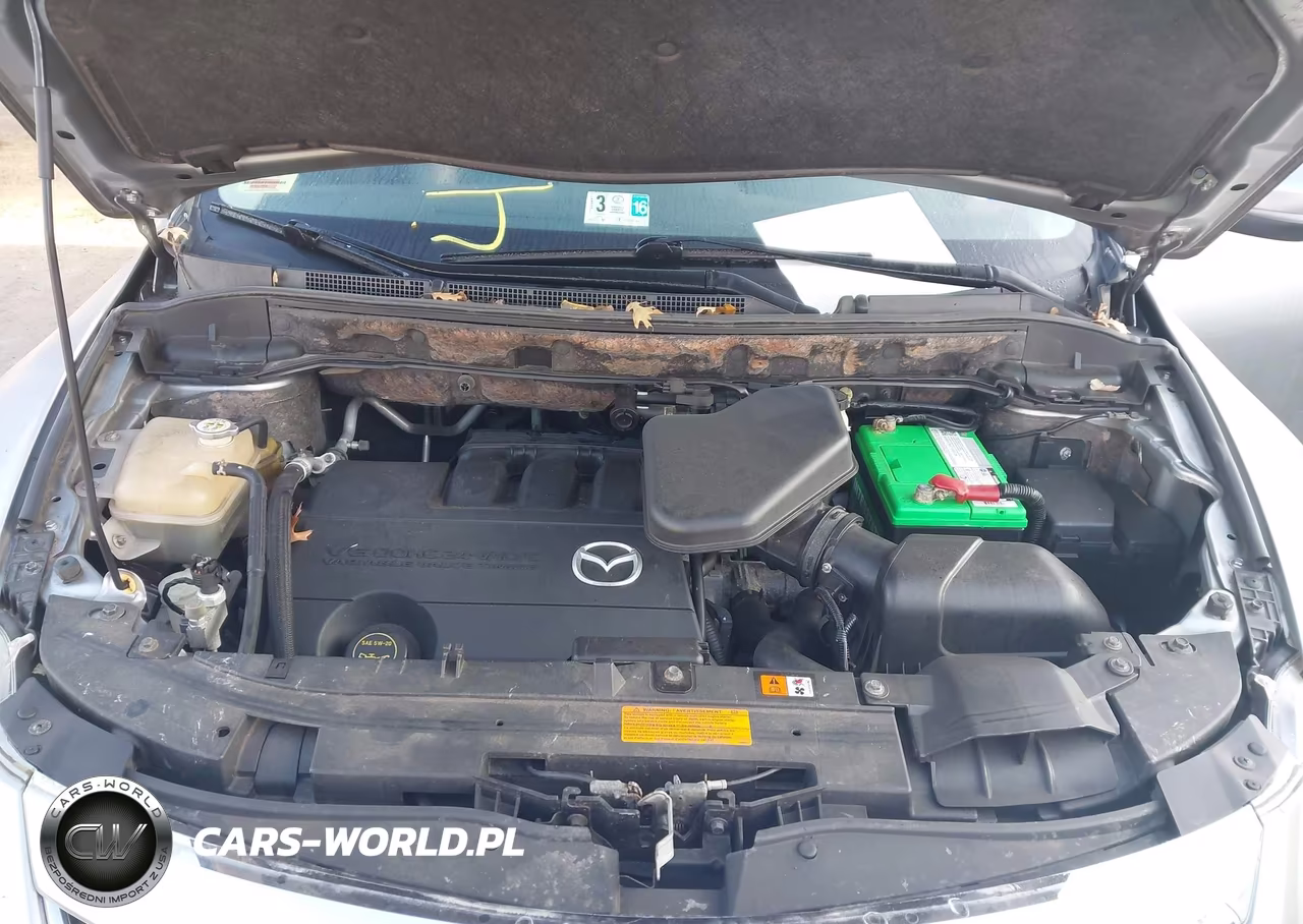 2011 Mazda Cx-9 Grand Touring VIN:JM3TB3DV9B0318448 - 10