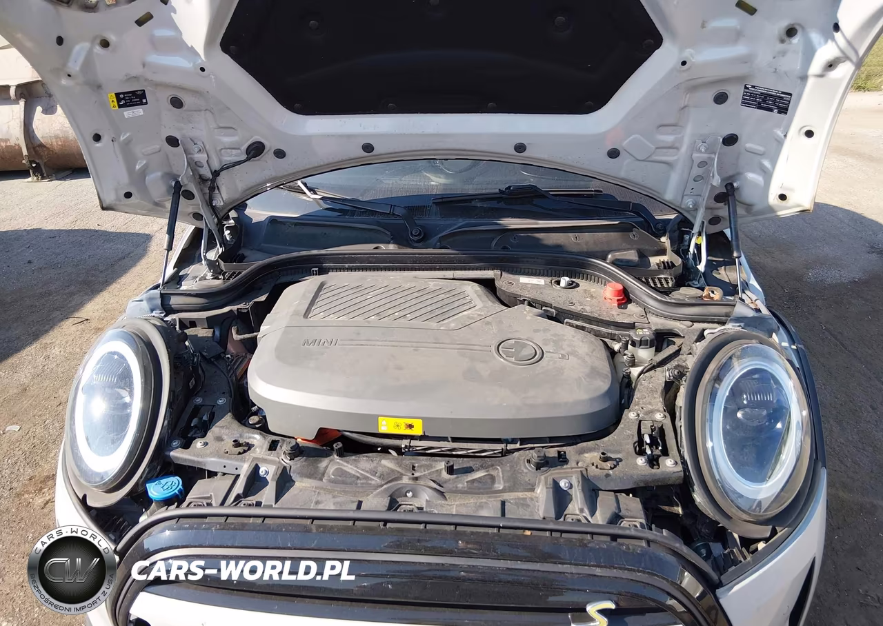2023 Mini Se Hardtop Cooper VIN:WMW13DJ04P2T63334 - 10