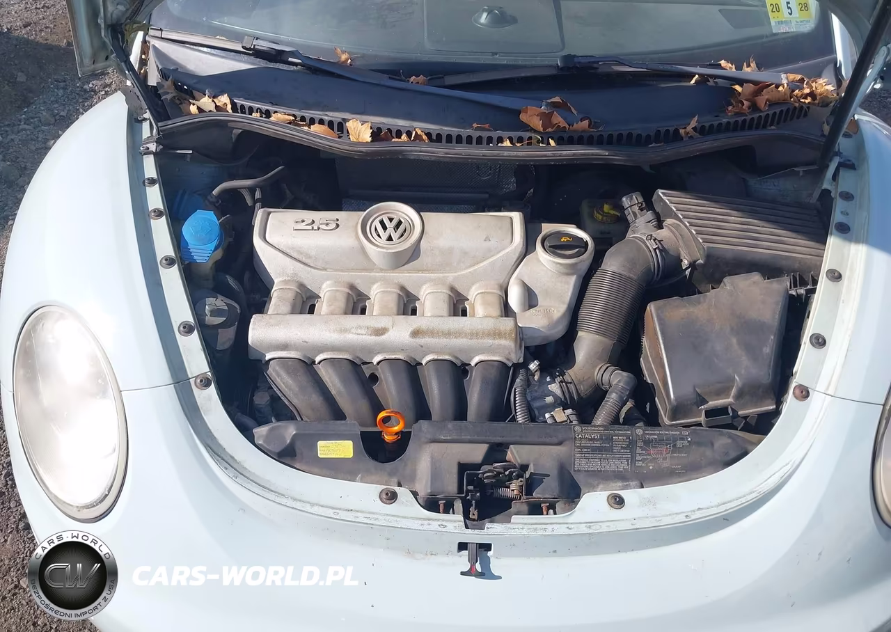 2006 Volkswagen New Beetle 2.5 VIN:3VWRG31Y76M325269 - 10