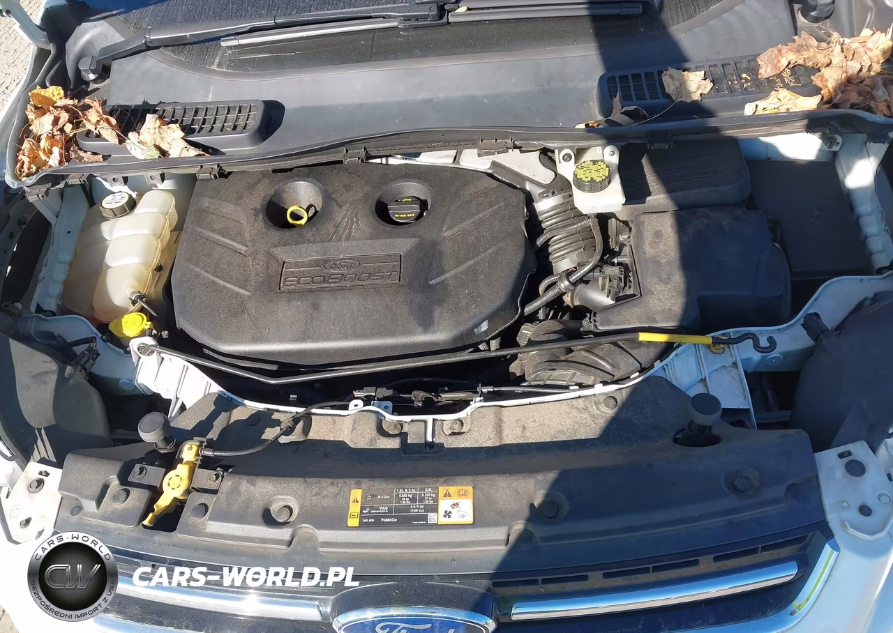 2013 Ford Escape Sel VIN:1FMCU9H98DUA37977 - 10