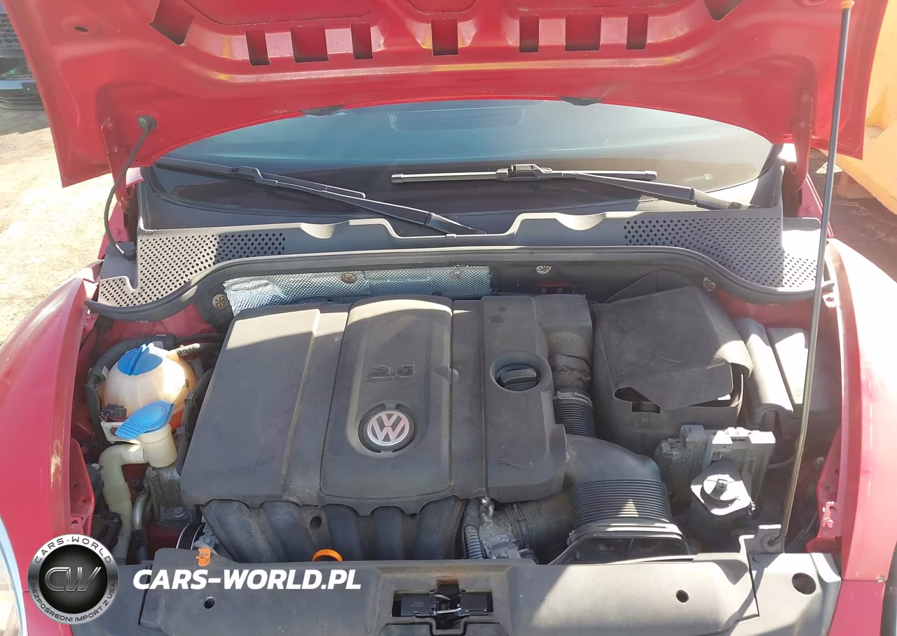2012 Volkswagen Beetle Entry VIN:3VWFP7ATXCM616309 - 10