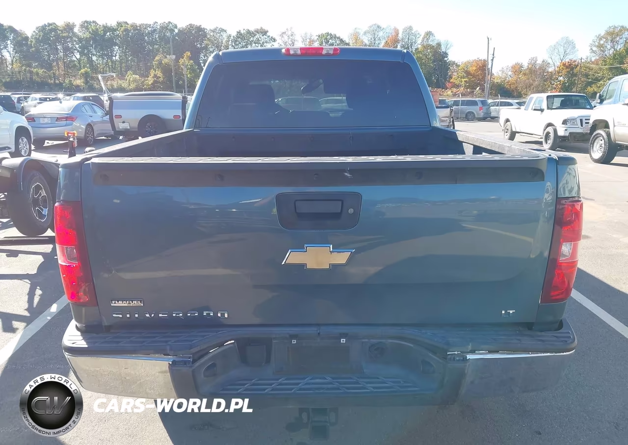 2010 Chevrolet Silverado 1500 Lt VIN:3GCRCSE04AG142805 - 16