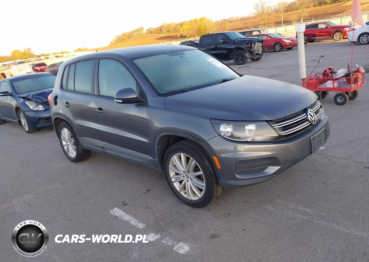 2013 Volkswagen Tiguan S VIN:WVGAV3AX4DW605706 - 1