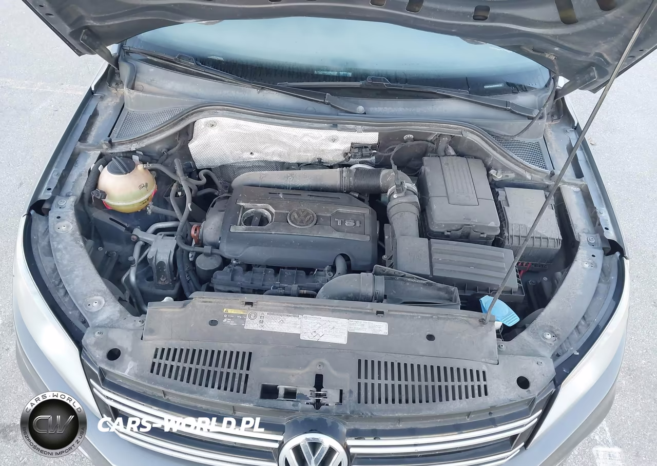 2013 Volkswagen Tiguan S VIN:WVGAV3AX4DW605706 - 10