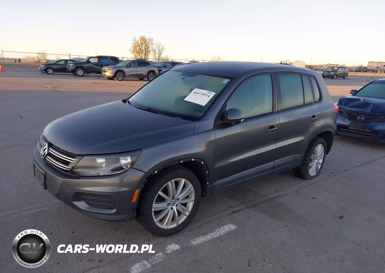 2013 Volkswagen Tiguan S VIN:WVGAV3AX4DW605706 - 2