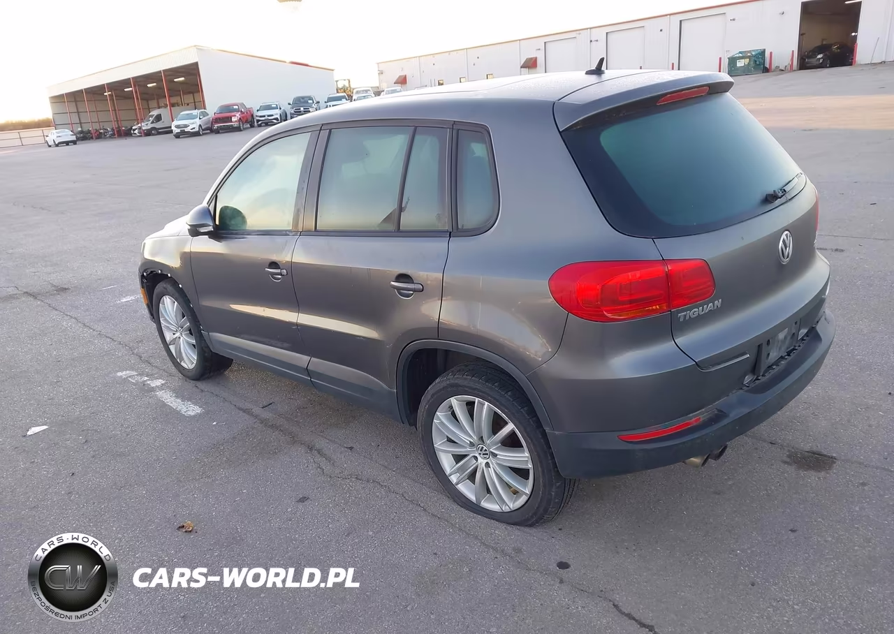 2013 Volkswagen Tiguan S VIN:WVGAV3AX4DW605706 - 3