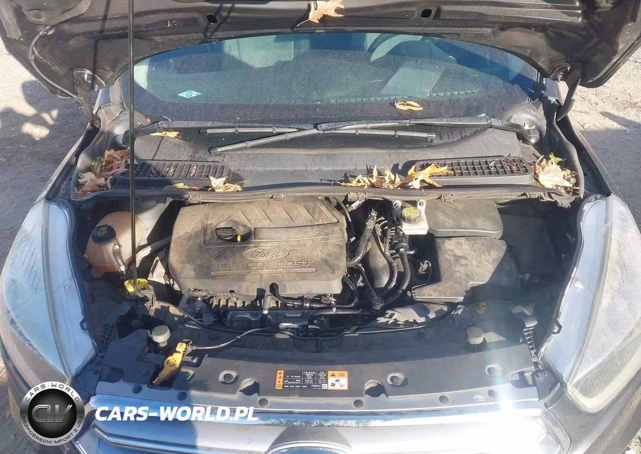 2017 Ford Escape Se VIN:1FMCU0GDXHUC64336 - 10