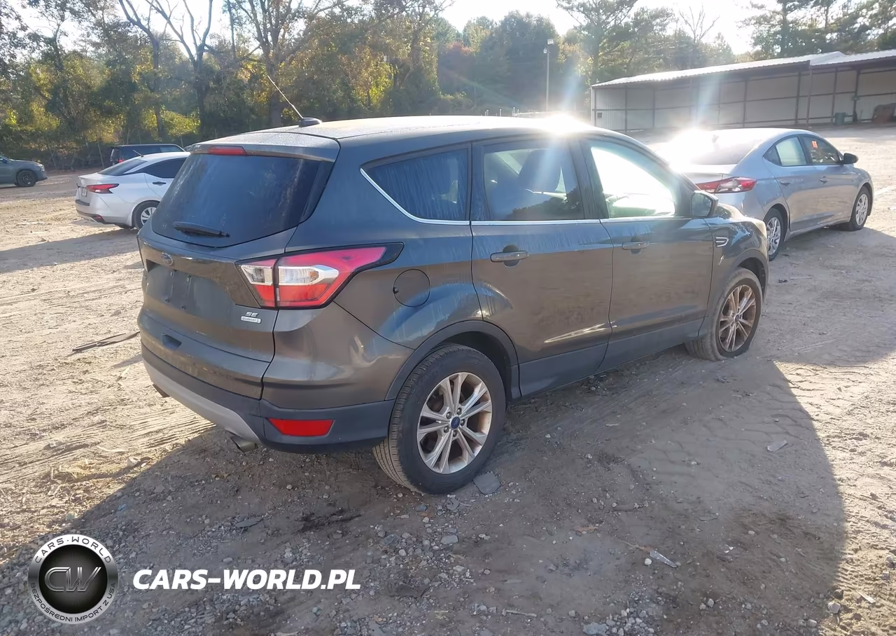 2017 Ford Escape Se VIN:1FMCU0GDXHUC64336 - 4