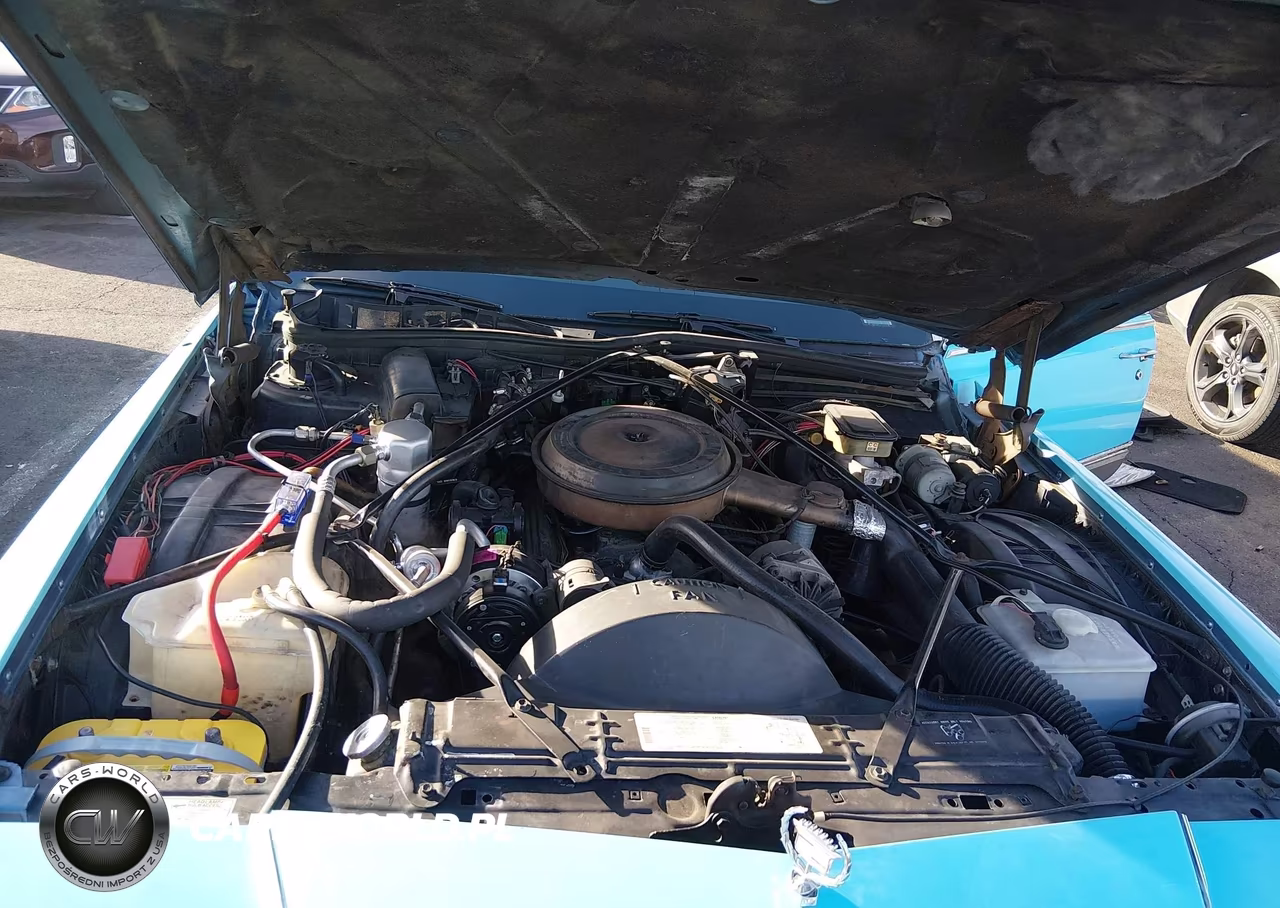 1990 Cadillac Brougham VIN:1G6DW5477LR713159 - 10