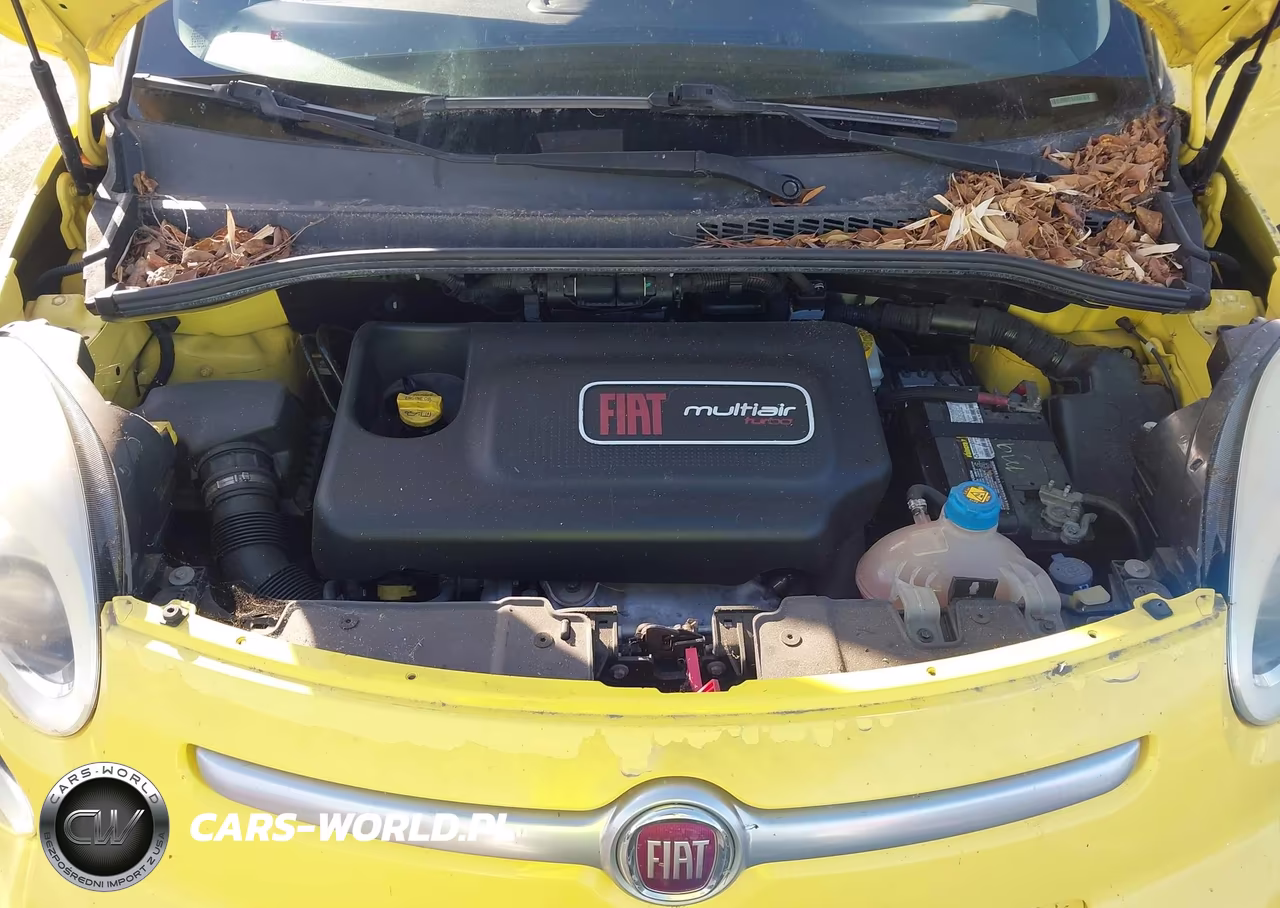 2014 Fiat 500L Trekking VIN:ZFBCFADH5EZ009641 - 10