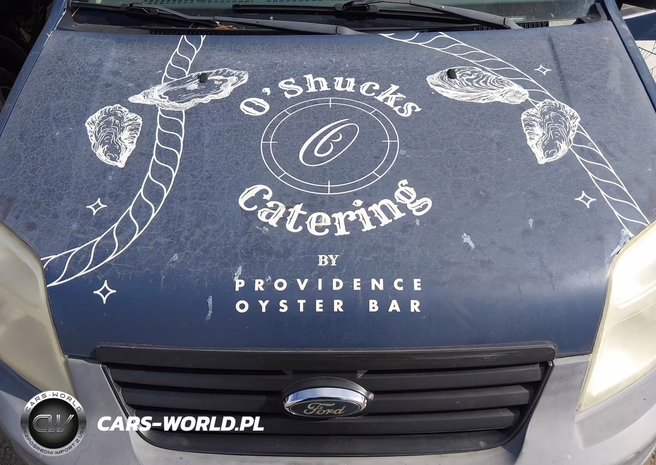 2011 Ford Transit Connect Xl VIN:NM0LS7ANXBT049361 - 10