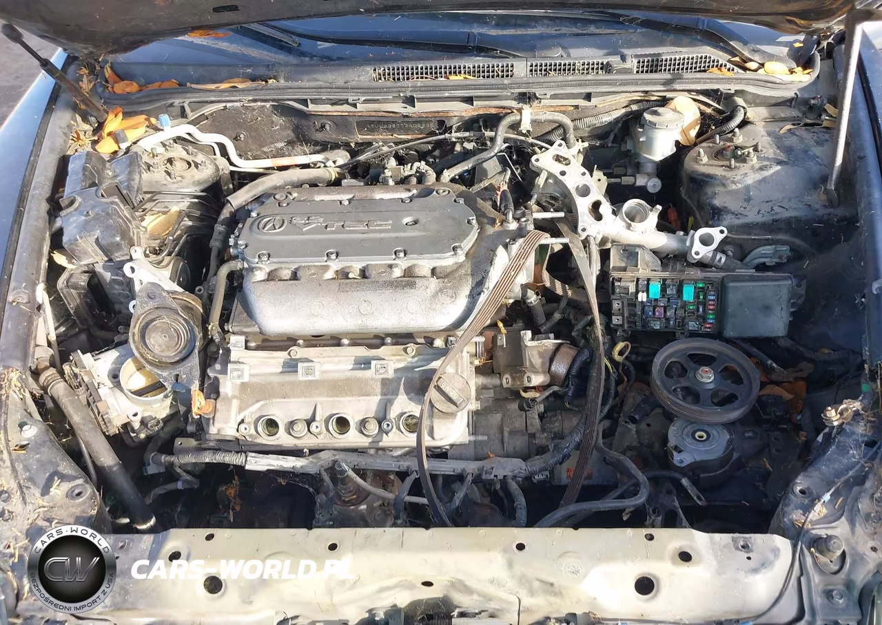 2004 Acura Tl VIN:19UUA66274A058652 - 10