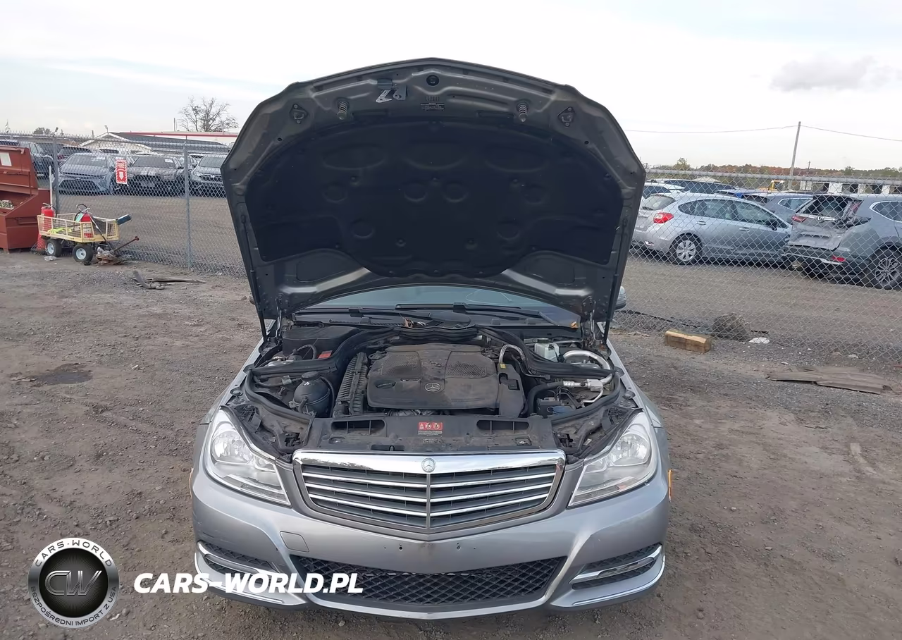 2014 Mercedes-Benz C 300 Luxury 4Matic VIN:WDDGF8AB0EG185022 - 10