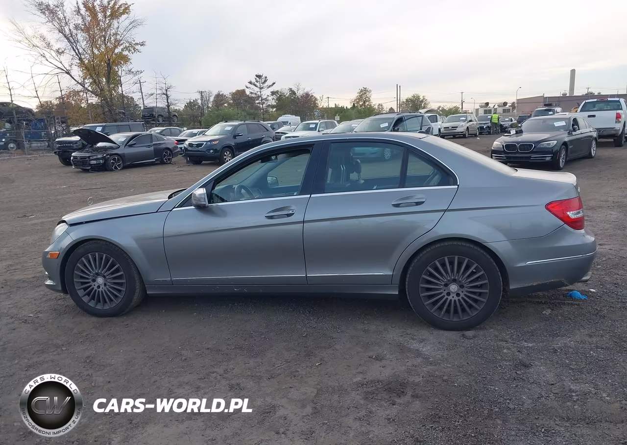 2014 Mercedes-Benz C 300 Luxury 4Matic VIN:WDDGF8AB0EG185022 - 14