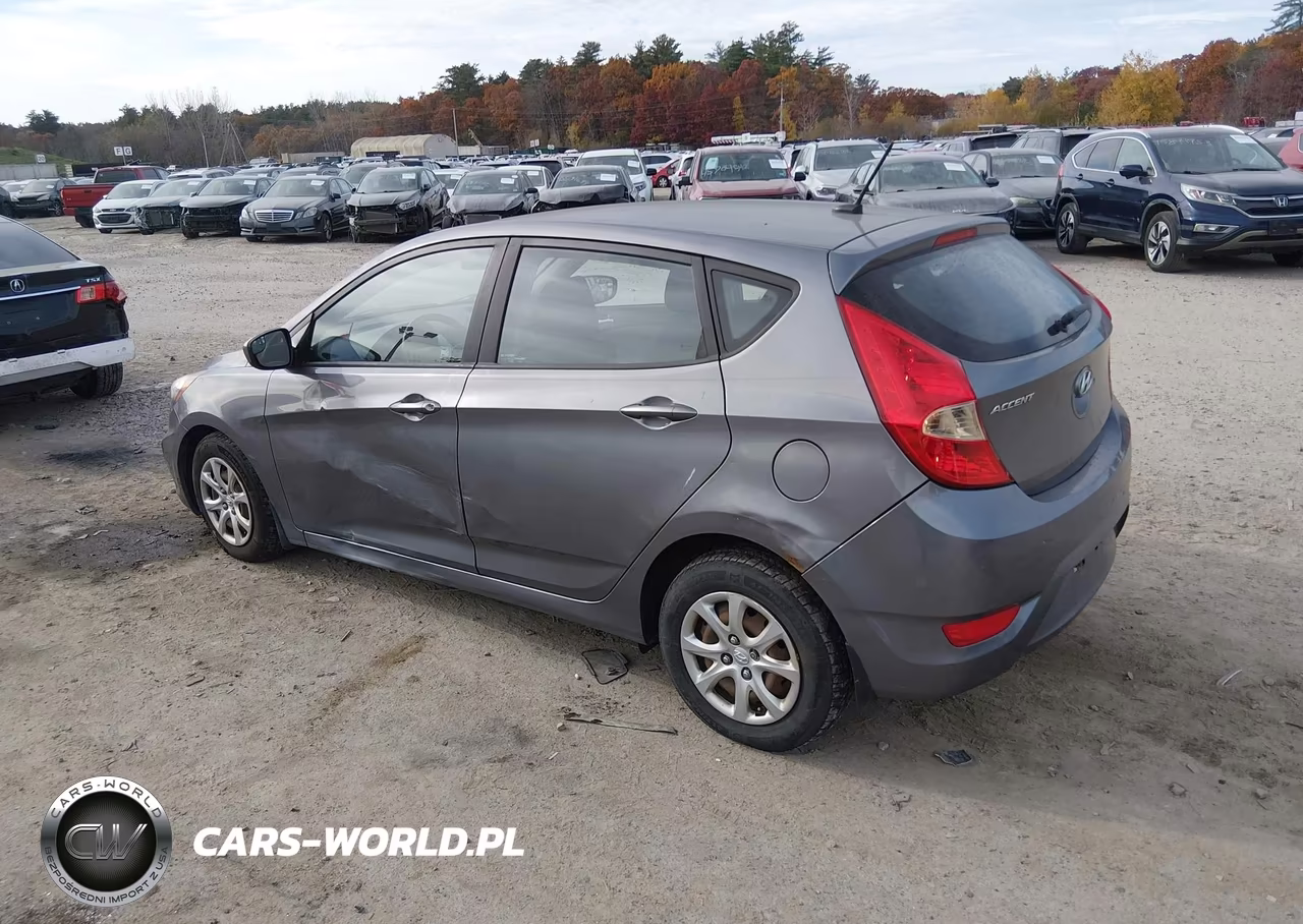 2014 Hyundai Accent Gs VIN:KMHCT5AE6EU153571 - 3