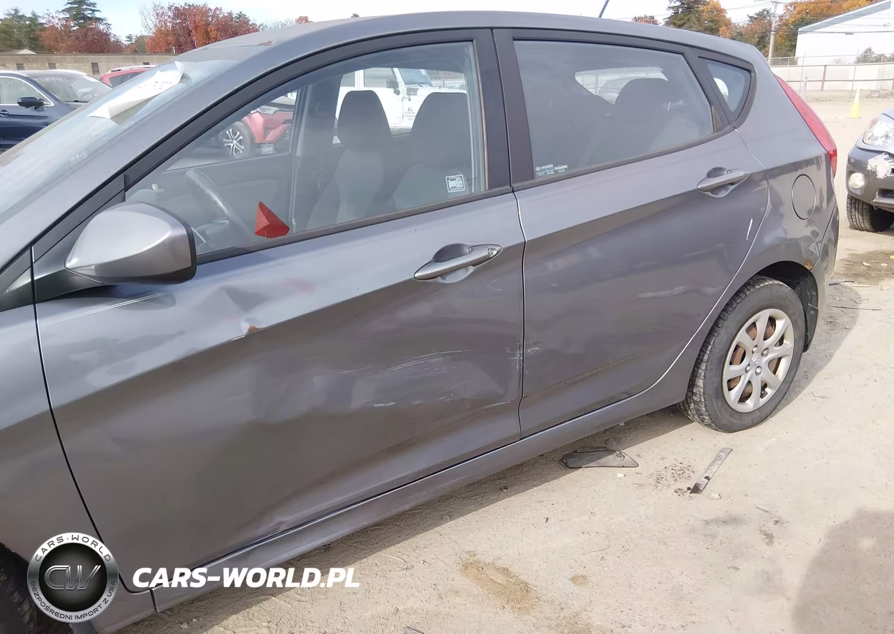 2014 Hyundai Accent Gs VIN:KMHCT5AE6EU153571 - 6
