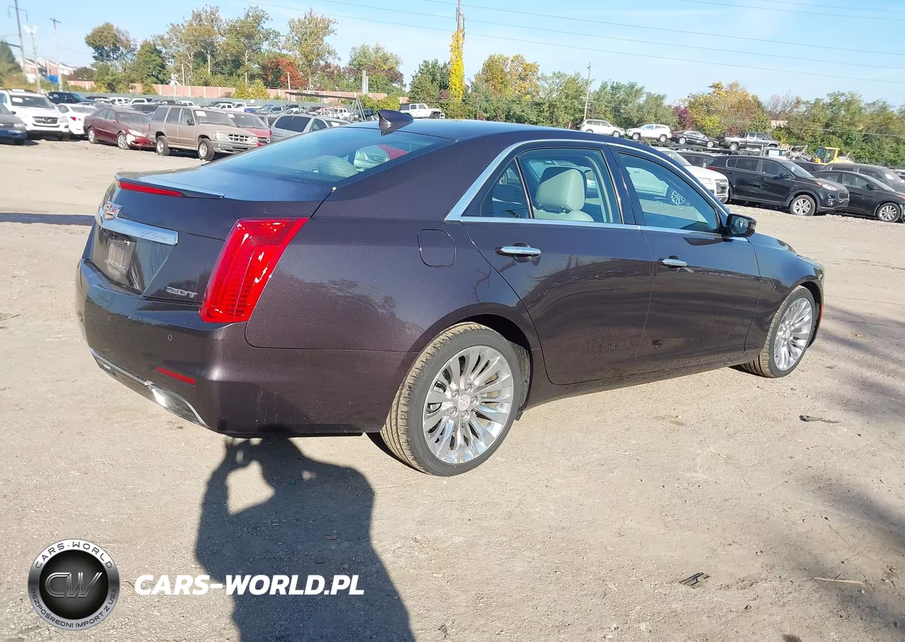 2015 Cadillac Cts Luxury VIN:1G6AX5SX5F0129306 - 4