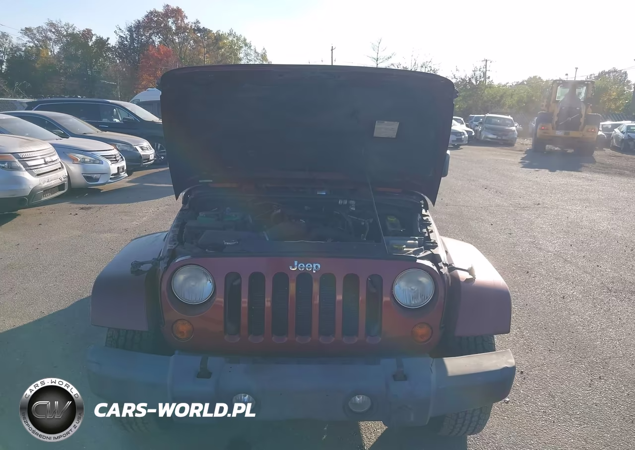 2007 Jeep Wrangler Unlimited Sahara VIN:1J8GA591X7L106428 - 10