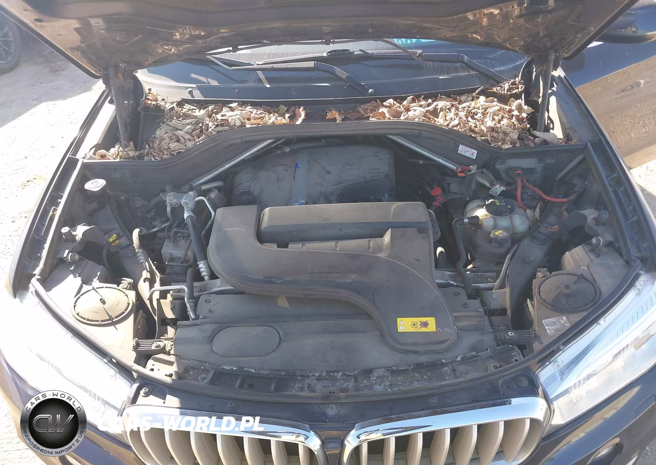 2016 BMW X5 Edrive xDrive40E VIN:5UXKT0C55G0S76996 - 10