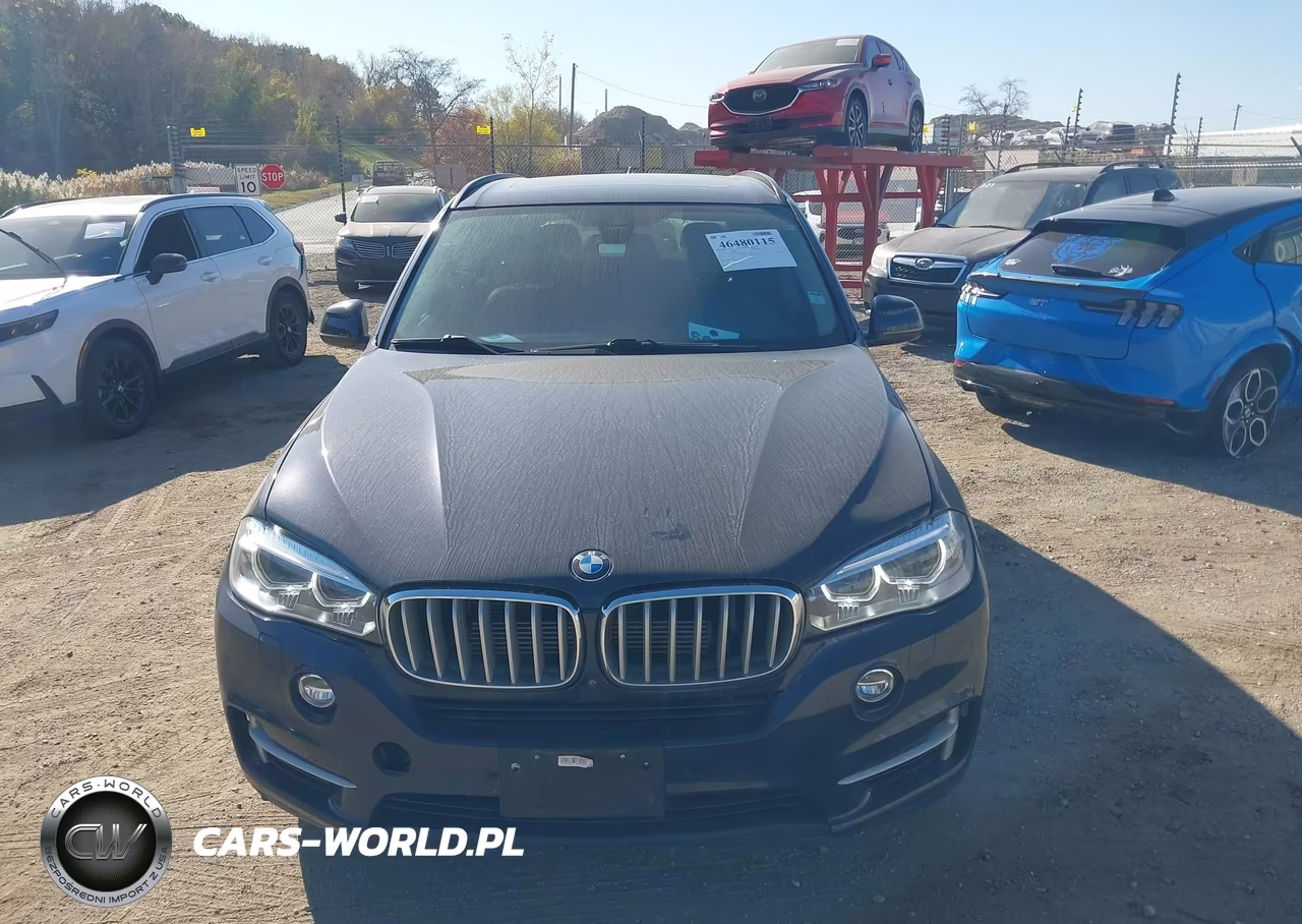 2016 BMW X5 Edrive xDrive40E VIN:5UXKT0C55G0S76996 - 12