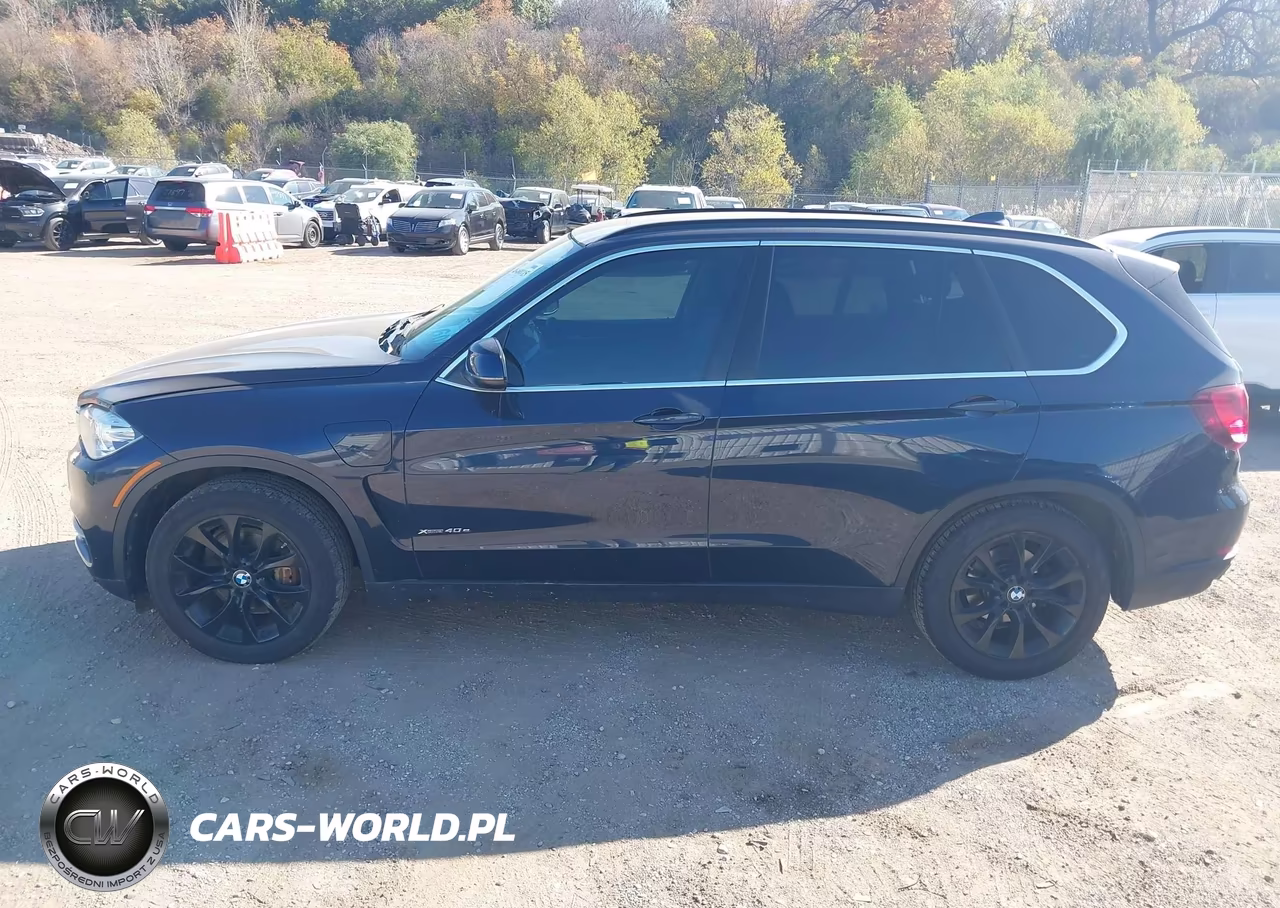 2016 BMW X5 Edrive xDrive40E VIN:5UXKT0C55G0S76996 - 14