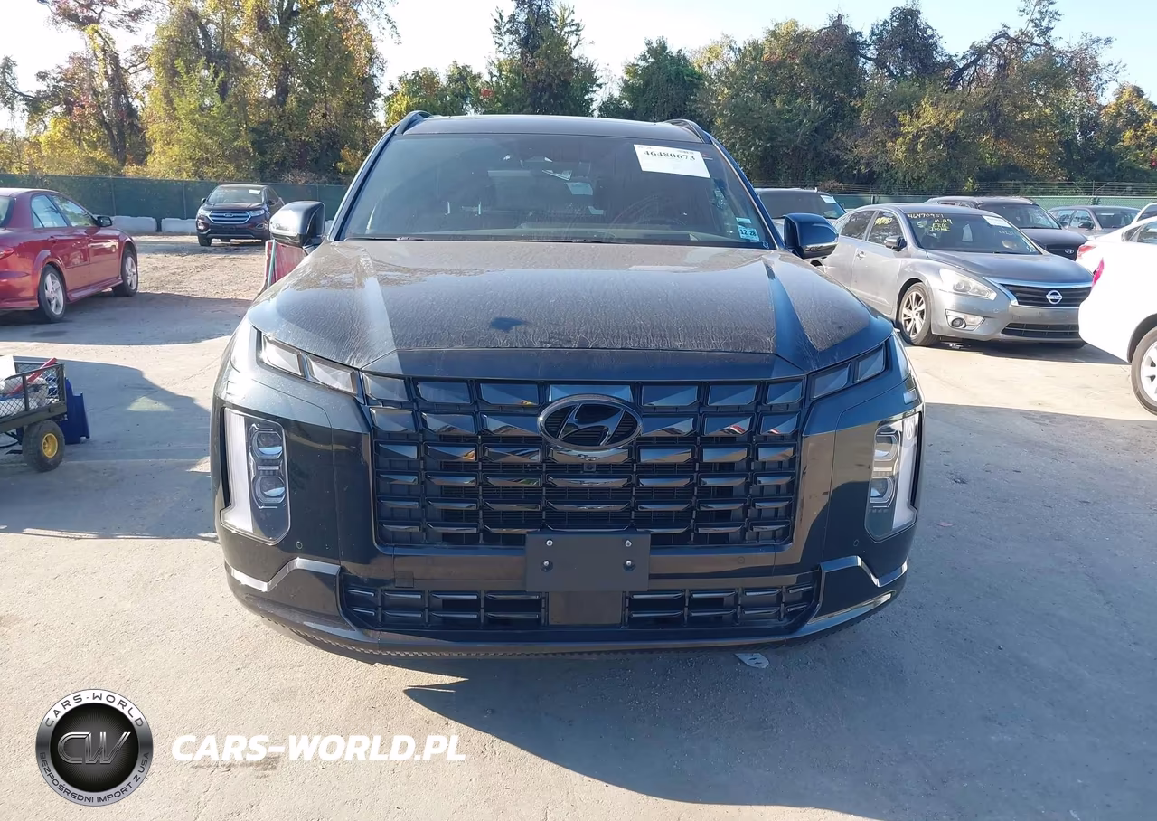 2024 Hyundai Palisade Calligraphy Night Edition VIN:KM8R7DGE2RU713222 - 12