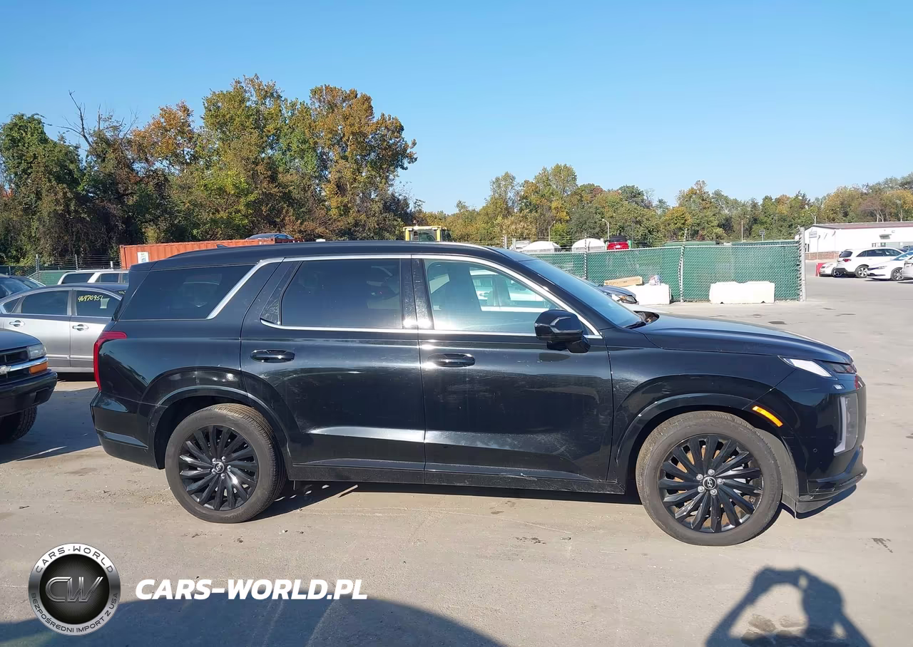 2024 Hyundai Palisade Calligraphy Night Edition VIN:KM8R7DGE2RU713222 - 13