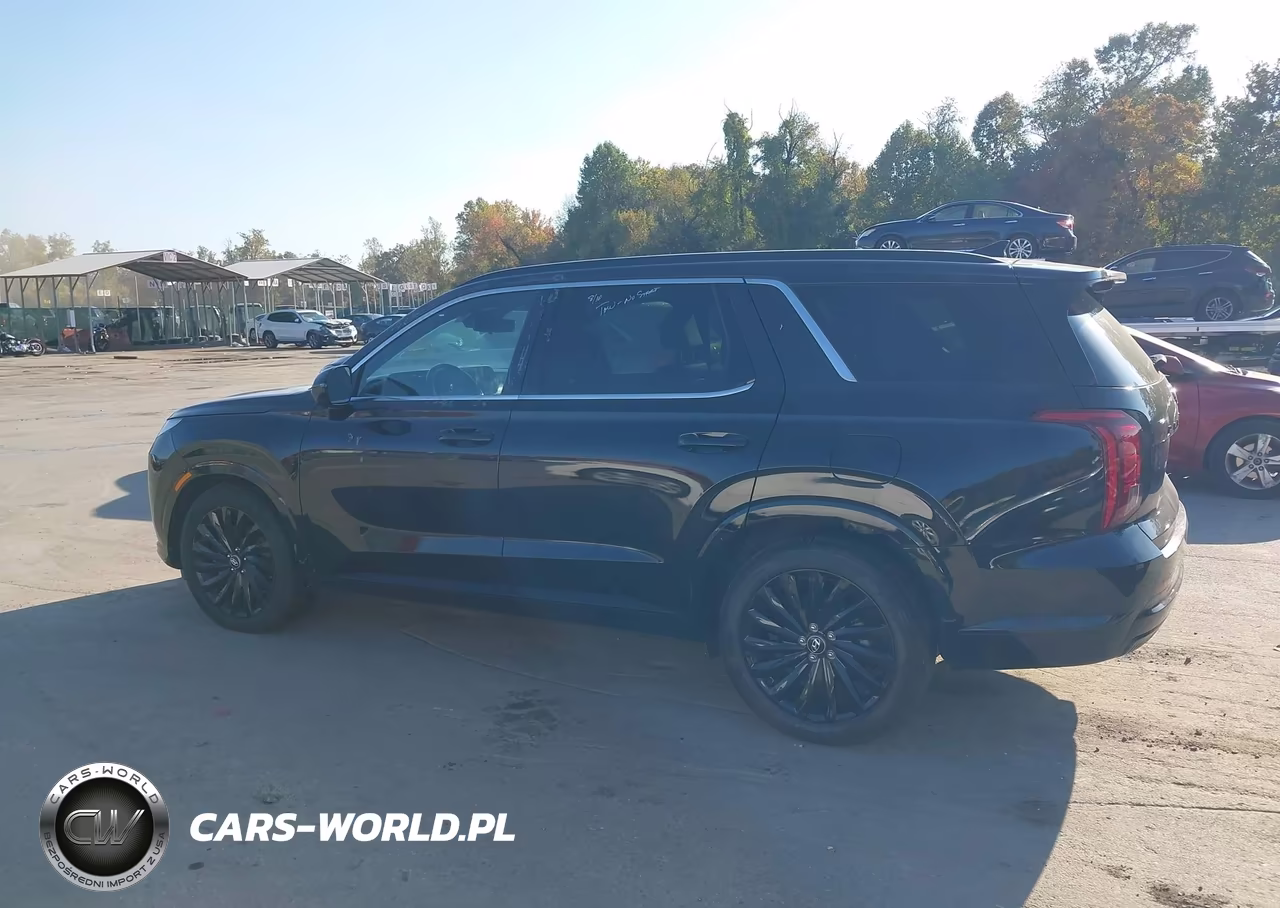2024 Hyundai Palisade Calligraphy Night Edition VIN:KM8R7DGE2RU713222 - 14