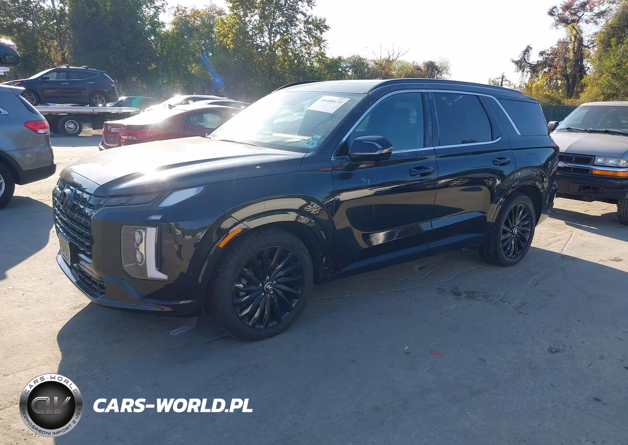 2024 Hyundai Palisade Calligraphy Night Edition VIN:KM8R7DGE2RU713222 - 2