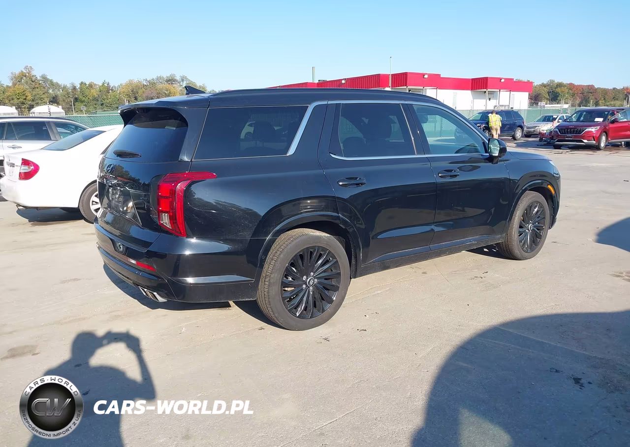 2024 Hyundai Palisade Calligraphy Night Edition VIN:KM8R7DGE2RU713222 - 4