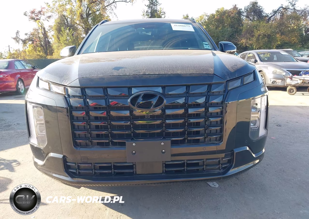 2024 Hyundai Palisade Calligraphy Night Edition VIN:KM8R7DGE2RU713222 - 6