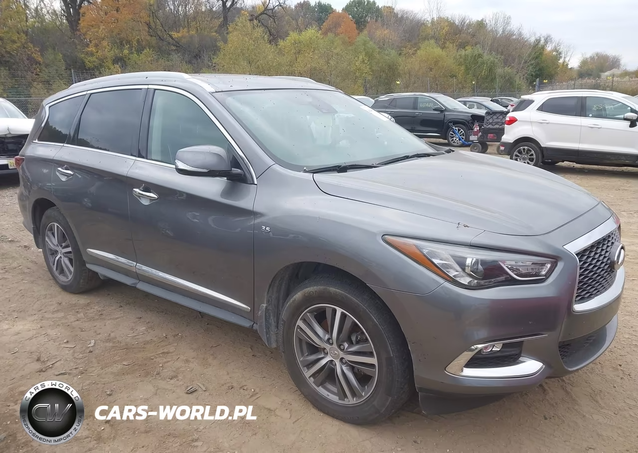 2020 Infiniti Qx60 Luxe Awd VIN:5N1DL0MM8LC539924 - 1