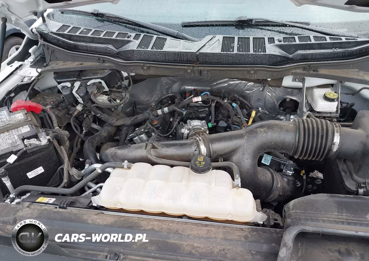2025 Ford F-150 Xlt VIN:1FTEW3KP7SKE07904 - 10