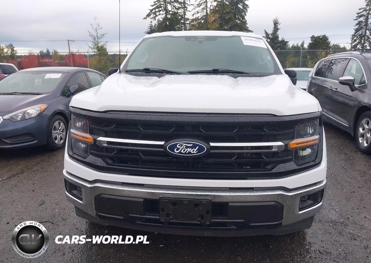 2025 Ford F-150 Xlt VIN:1FTEW3KP7SKE07904 - 12