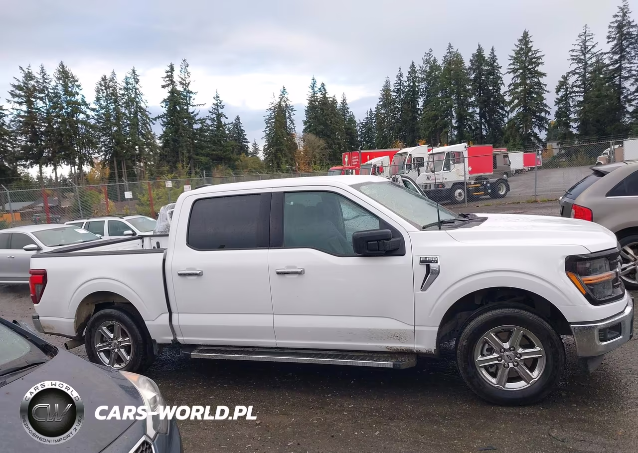 2025 Ford F-150 Xlt VIN:1FTEW3KP7SKE07904 - 13