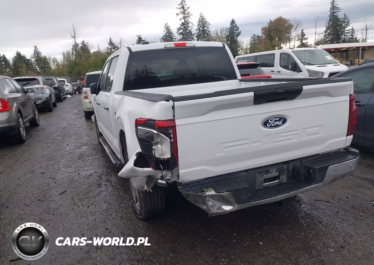 2025 Ford F-150 Xlt VIN:1FTEW3KP7SKE07904 - 3