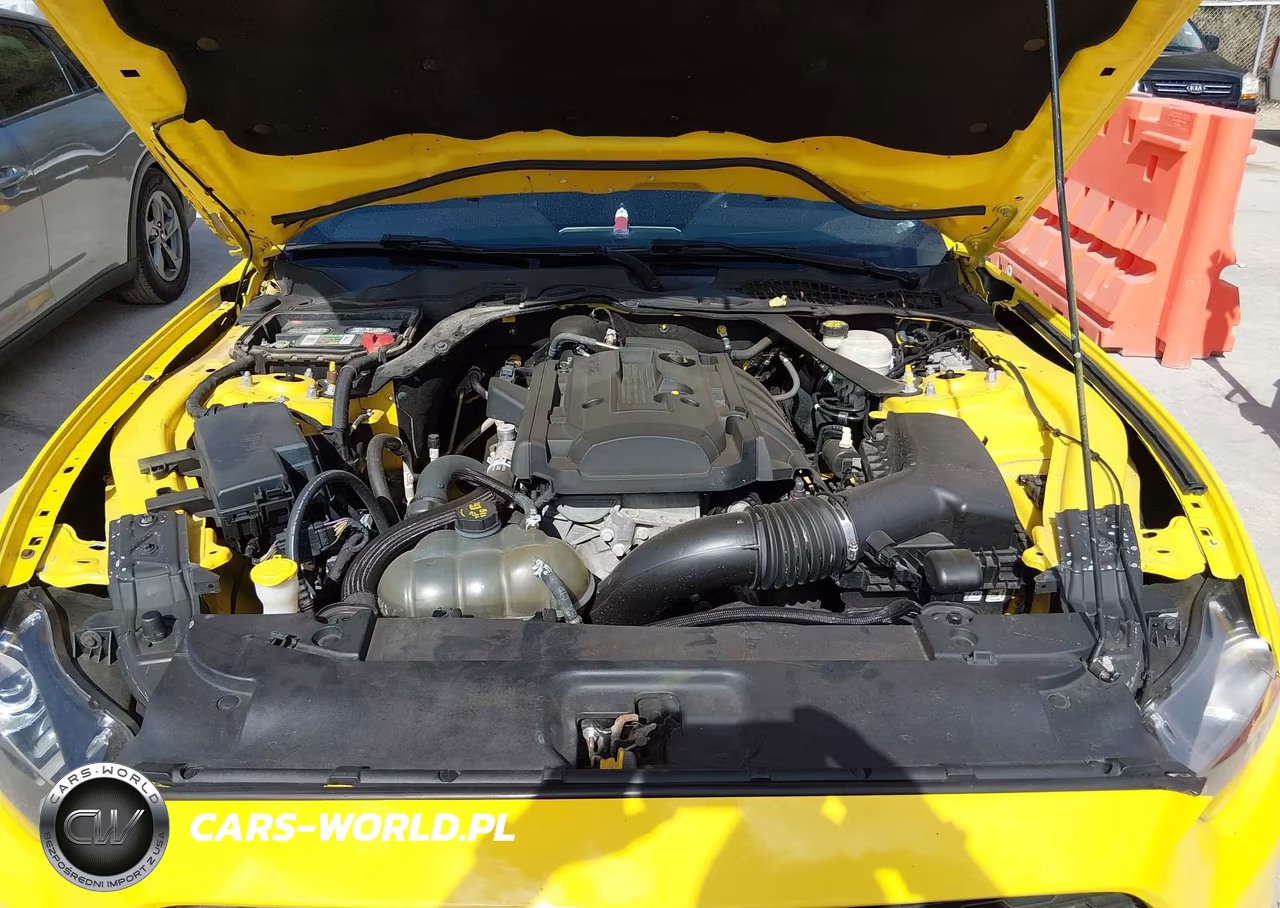 2016 Ford Mustang Ecoboost Premium VIN:1FATP8UHXG5299832 - 10