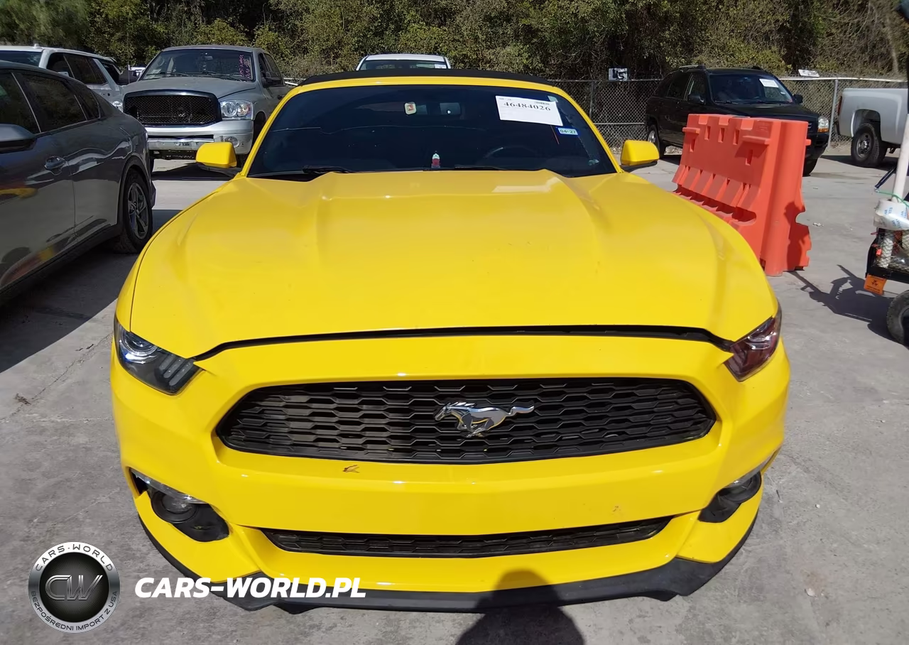 2016 Ford Mustang Ecoboost Premium VIN:1FATP8UHXG5299832 - 13