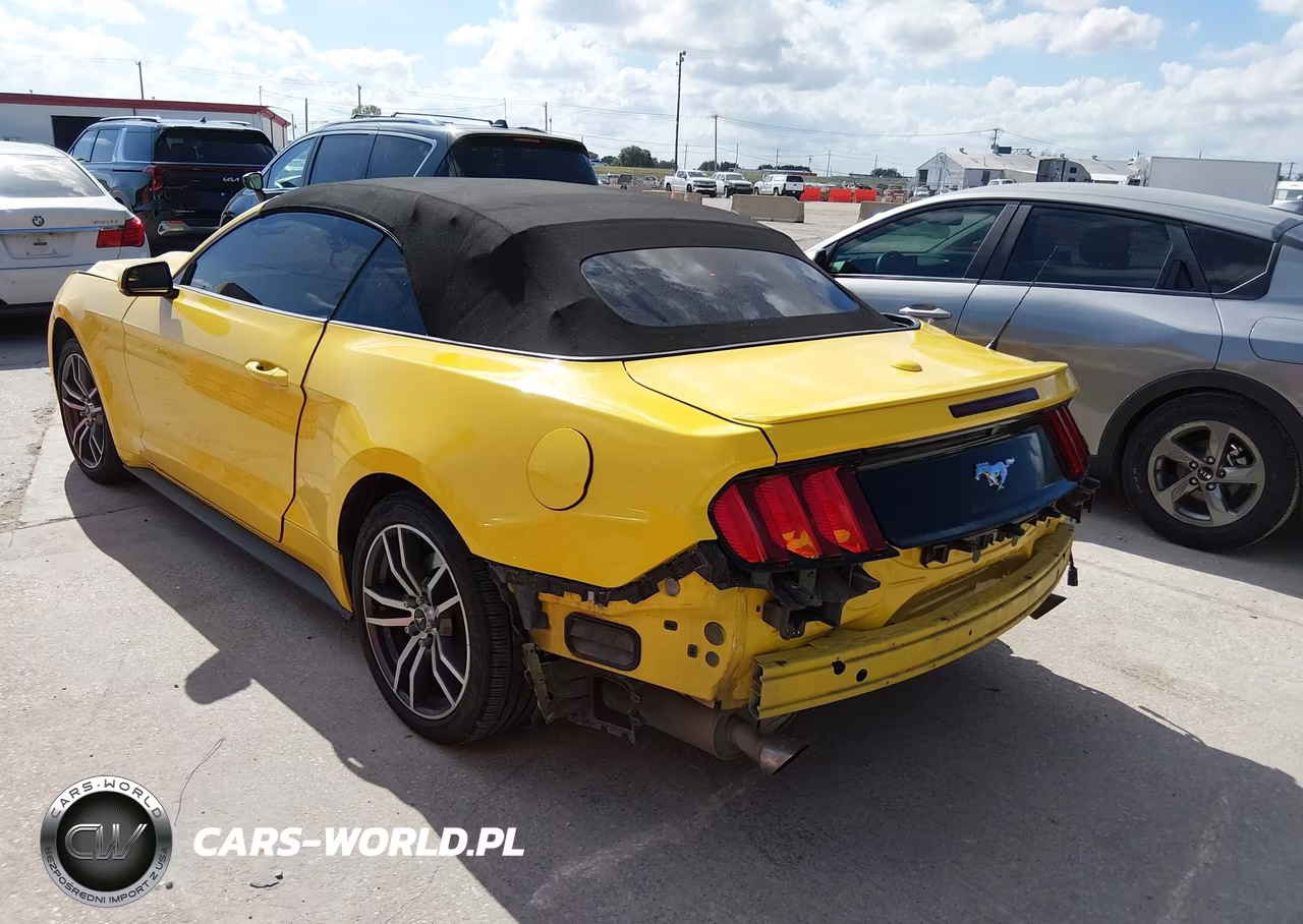 2016 Ford Mustang Ecoboost Premium VIN:1FATP8UHXG5299832 - 3