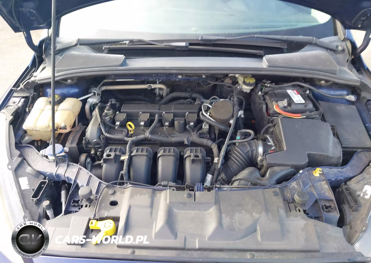 2016 Ford Focus Se VIN:1FADP3K21GL224289 - 10
