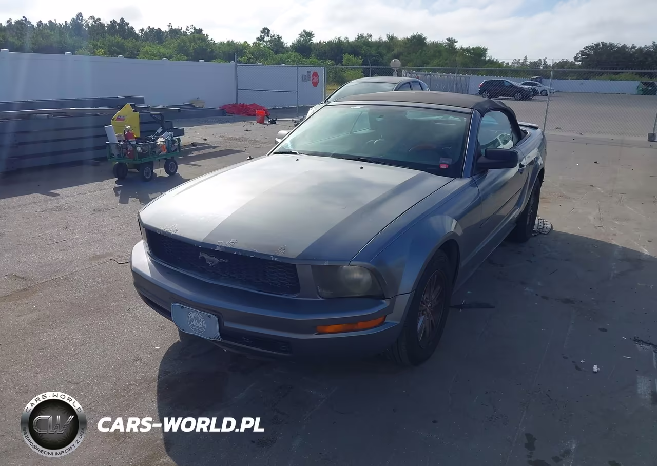 2007 Ford Mustang V6 Deluxe-V6 Premium VIN:1ZVFT84N675262069 - 2